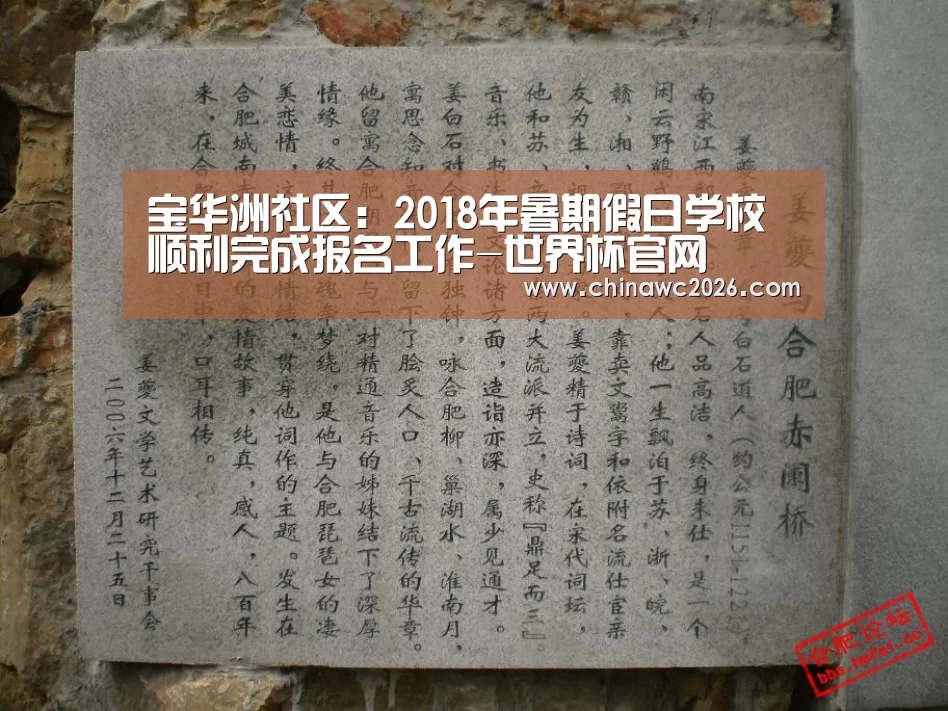 宝华洲社区:2018年暑期假日学校顺利完成报名工作-世界杯官网(图2) 世界杯官网