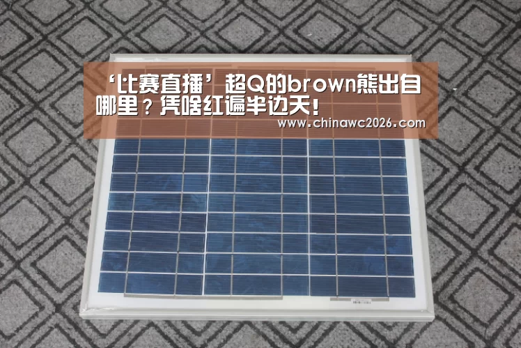‘比赛直播’超Q的brown熊出自哪里?凭啥红遍半边天!(图2) 比赛直播