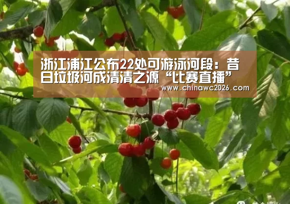 浙江浦江公布22处可游泳河段:昔日垃圾河成清清之源“比赛直播”(图1) 48强分组