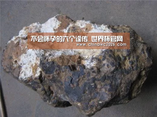 不会怀孕的六个谣传_世界杯官网(图1) 48强分组