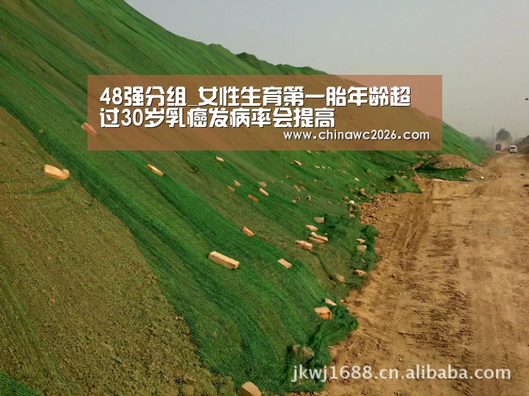 48强分组_女性生育第一胎年龄超过30岁乳癌发病率会提高(图1) 48强分组