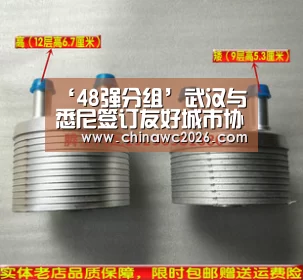 ‘48强分组’武汉与悉尼签订友好城市协议(图1) 比赛直播