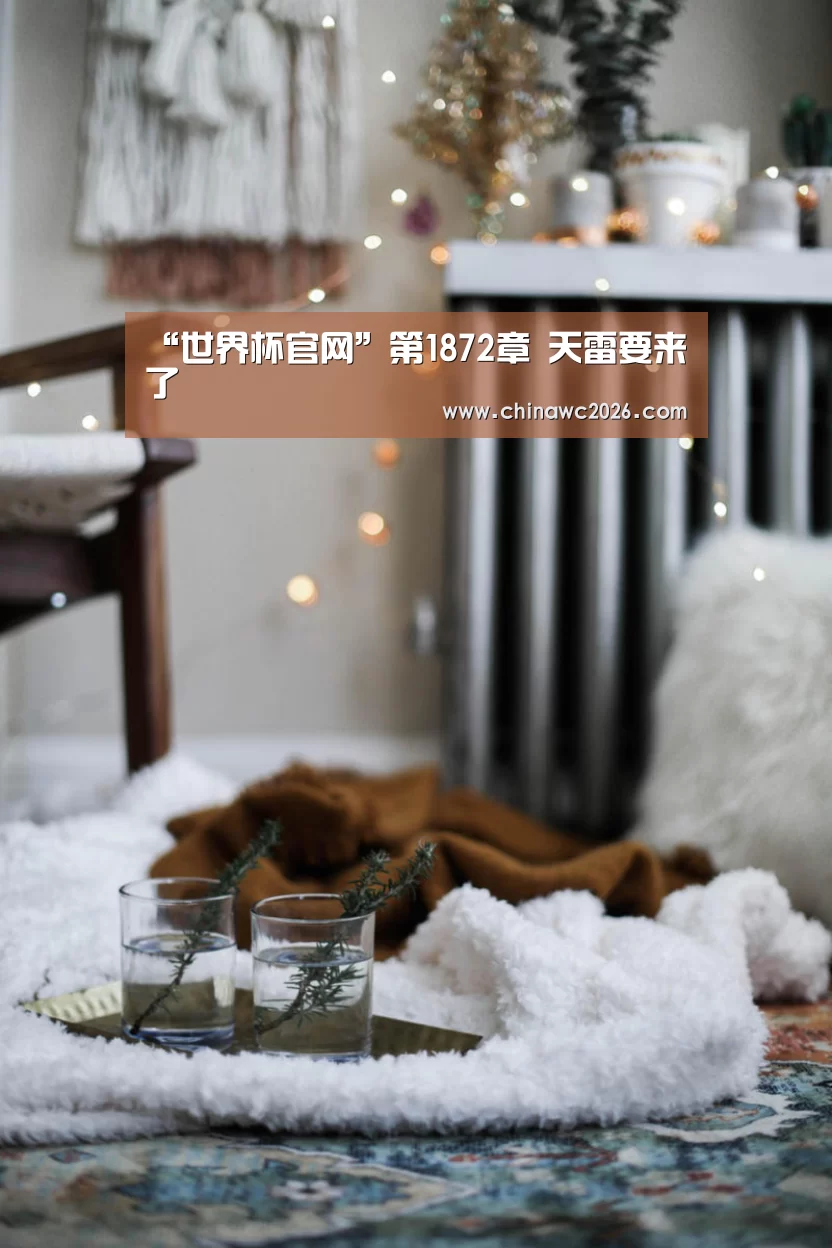 “世界杯官网”第1872章 天雷要来了(图2) 2026赛程