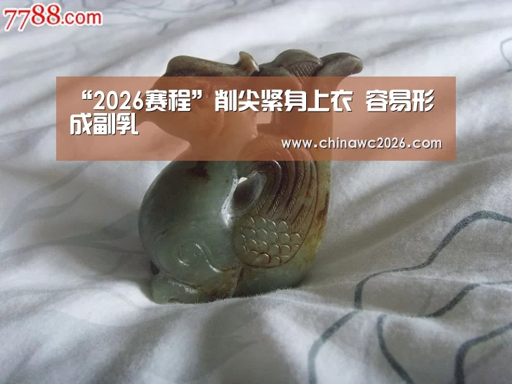“2026赛程”削尖紧身上衣 容易形成副乳(图3) 48强分组
